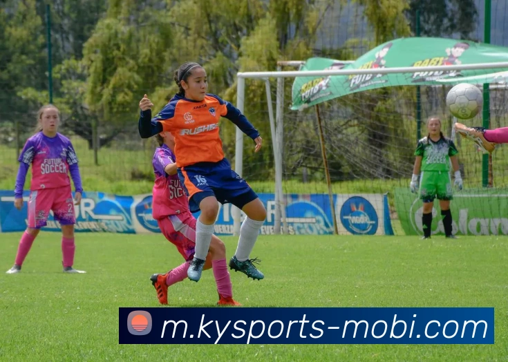 开云体育APP 体育赛事宣传图